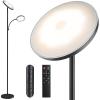 Black with Sub-lamp